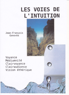 jean-francois-geneves-voies-intuition